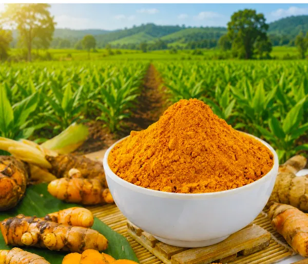 The_Swaminee_Ground_Turmeric