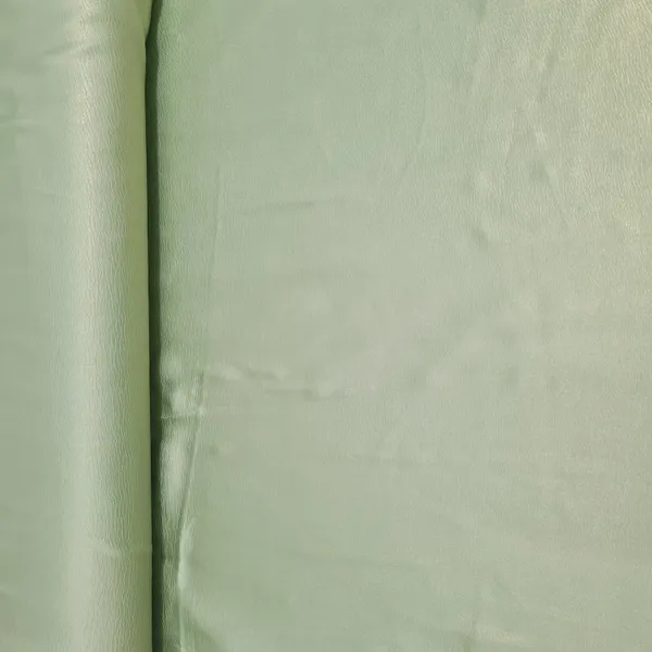 Pista_Green_Solid_Gold_Shimmer_Georgrette_Satin_Default_Title