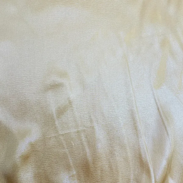 Beige_Solid_Silver_Shimmer_Georgette_Satin_Default_Title