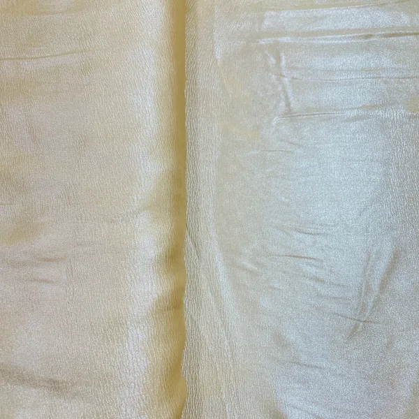 Beige_Solid_Silver_Shimmer_Georgette_Satin_Default_Title