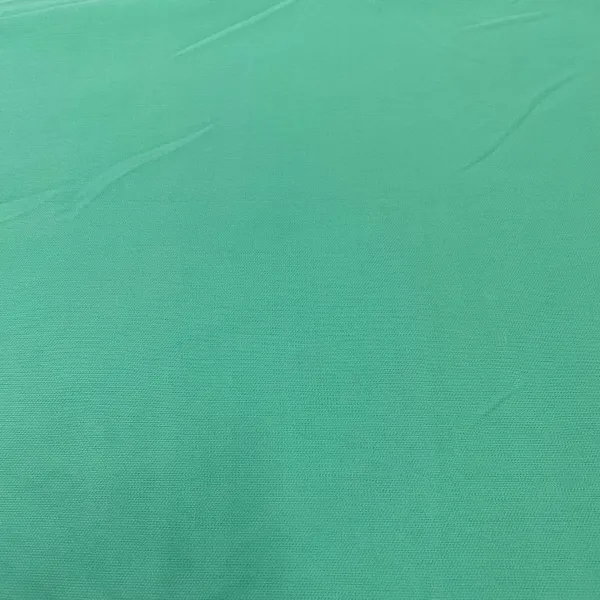 Mint_Green_Solid_Lycra_Dyed_Fabric_Default_Title