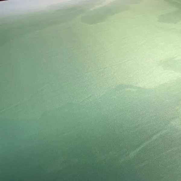 Exclusive_Green_Ombre_Gucci_Satin_Fabric_Default_Title