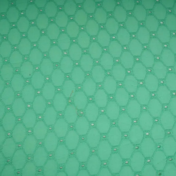 Exclusive_Cotton_Schiffli_Mint_Green_Sequins_Embroidery_Fabric_Default_Title