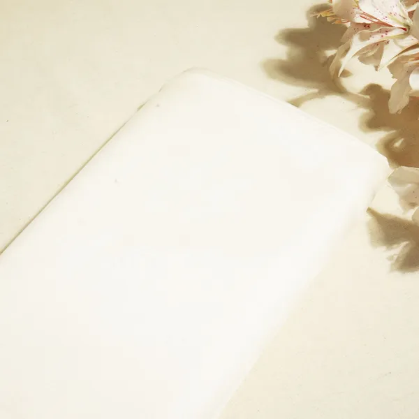 White_Organza_Silk_Fabric_Hna_24543_Default_Title
