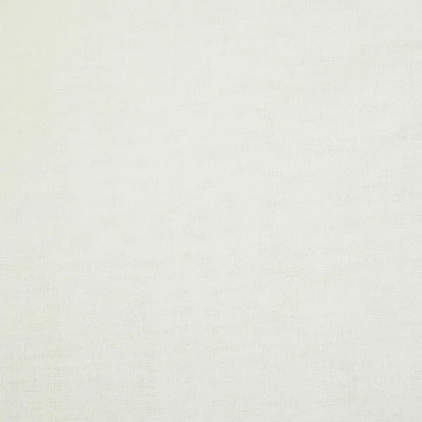 White_Dyeable_Schiffli_On_Border_Cotton_Fabric_Af_25504_Default_Title