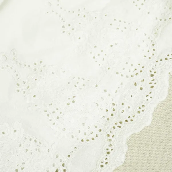 White_Dyeable_Schiffli_On_Border_Cotton_Fabric_Af_25504_Default_Title