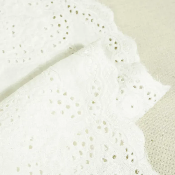 White_Dyeable_Schiffli_On_Border_Cotton_Fabric_Af_25504_Default_Title