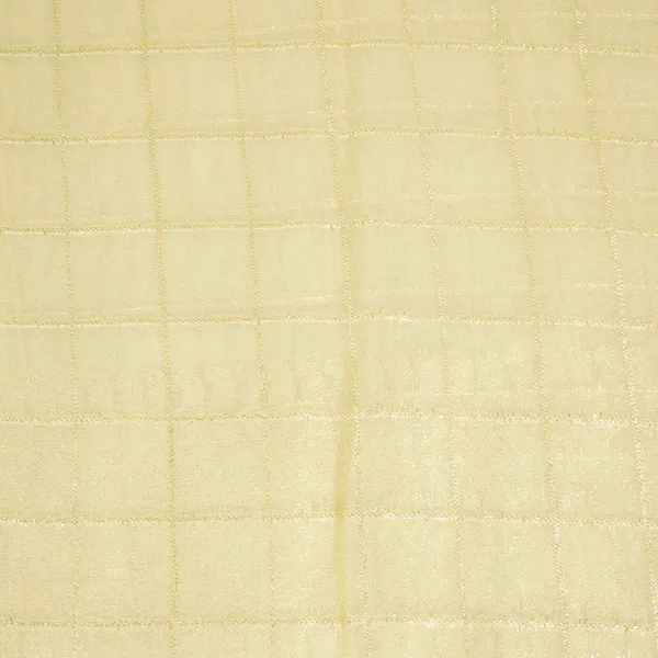 Gold_Zari_Check_Border_Work_Tissue_Organza_Df_15706_Default_Title