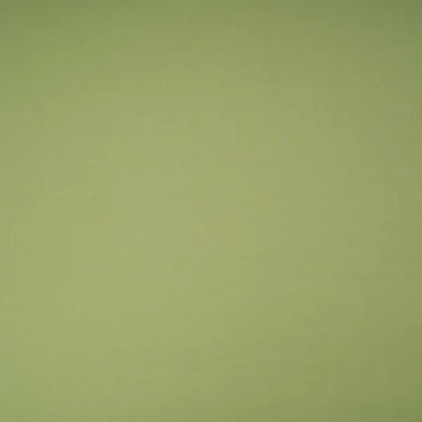 Sage_Green_Solid_Lizzy_Bizzy_Fabric_Rtl_31447_Default_Title