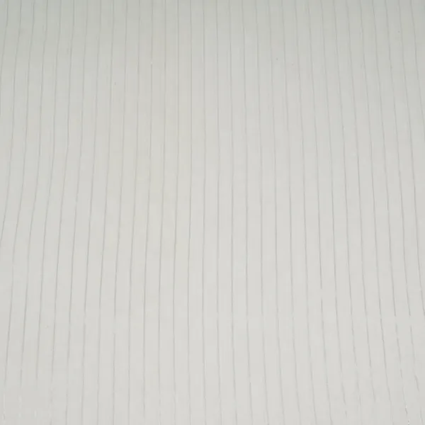 Off_White_With_Silver_Stripes_Dyeable_Tissue_Fabric_Acv_32244_Default_Title
