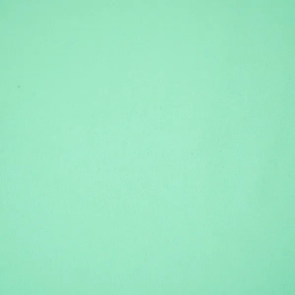 Mint_Green_Solid_60gm_Georgette_Fabric_Ssmg_34_Default_Title