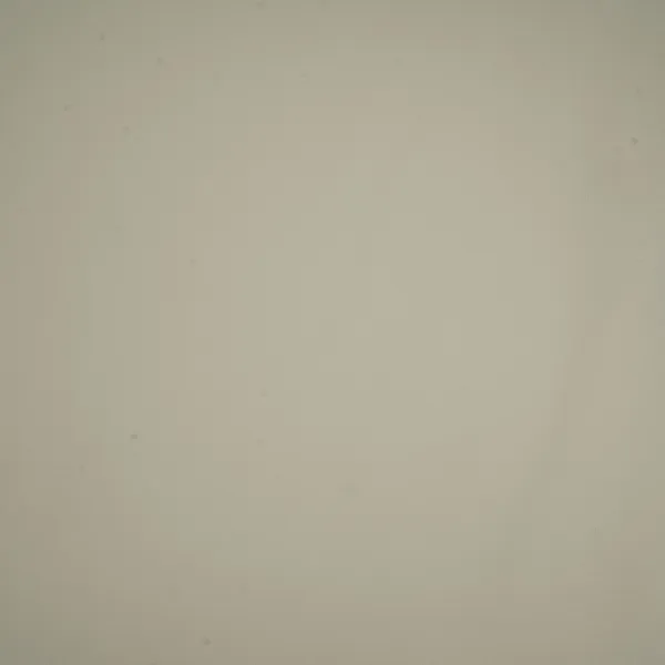Cream_Solid_Japanese_Suiting_Fabric_Sei_33232_Default_Title