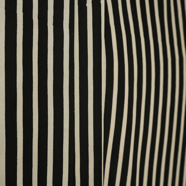 Black_Stripes_Print_Satin_Silk_Fabric_Sn_33854_Default_Title