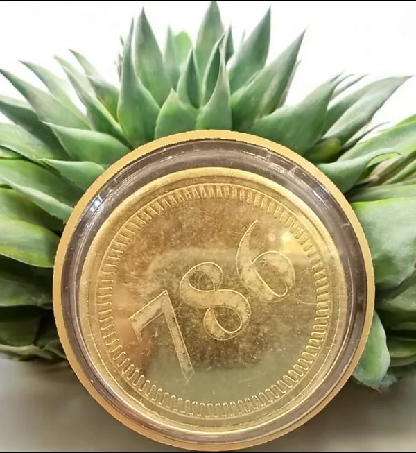 Brass_Decorative_Coin_With_Plant_Background