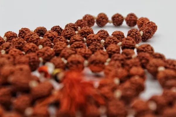 Rudraksha_Mala_Prayer_Beads