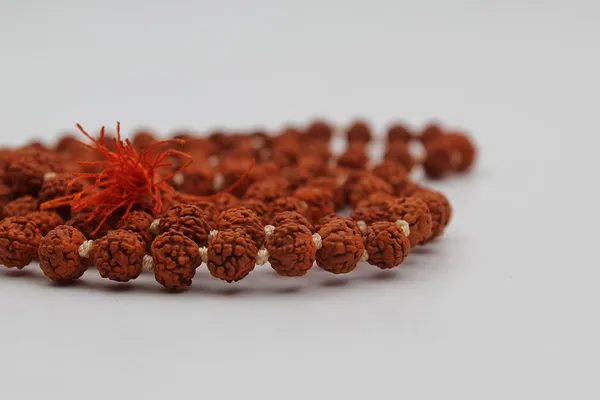 Rudraksha_Mala_Prayer_Beads
