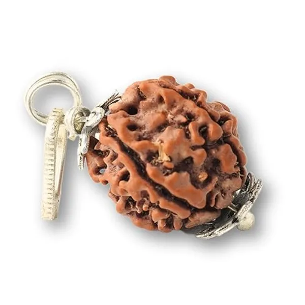Rudraksha_Pendant_With_Silver_Cap