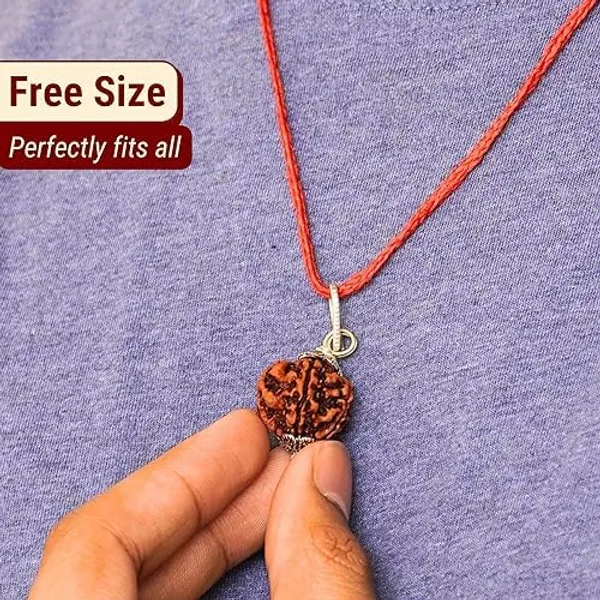 Rudraksha_Pendant_With_Silver_Cap