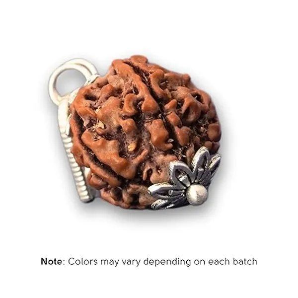 Rudraksha_Pendant_With_Silver_Cap