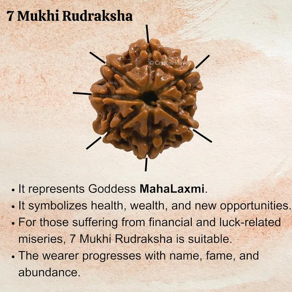 Rudraksha_Prayer_Mala_End_Of_Turn_Token