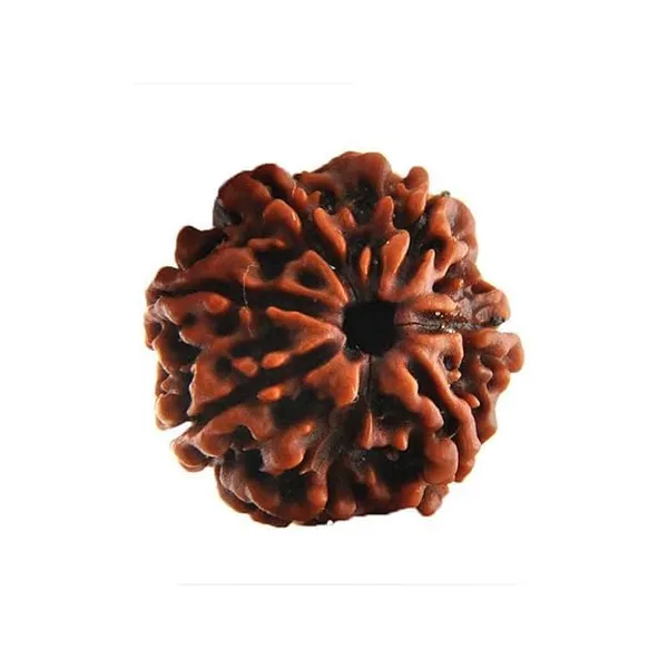 Rudraksha_Prayer_Mala_End_Of_Turn_Token