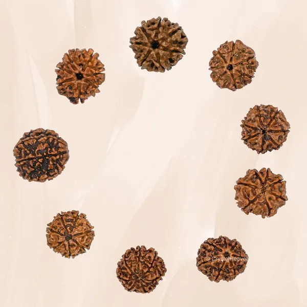 Rudraksha_Prayer_Mala_End_Of_Turn_Token