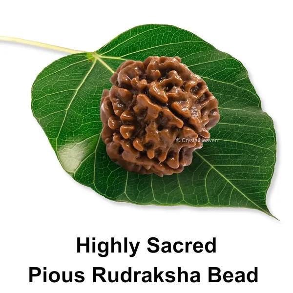 Rudraksha_Prayer_Mala_End_Of_Turn_Token