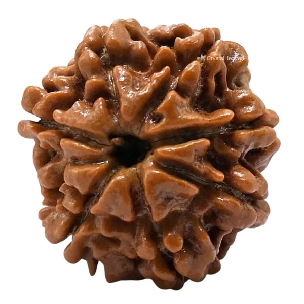 Rudraksha_Prayer_Mala_End_Of_Turn_Token