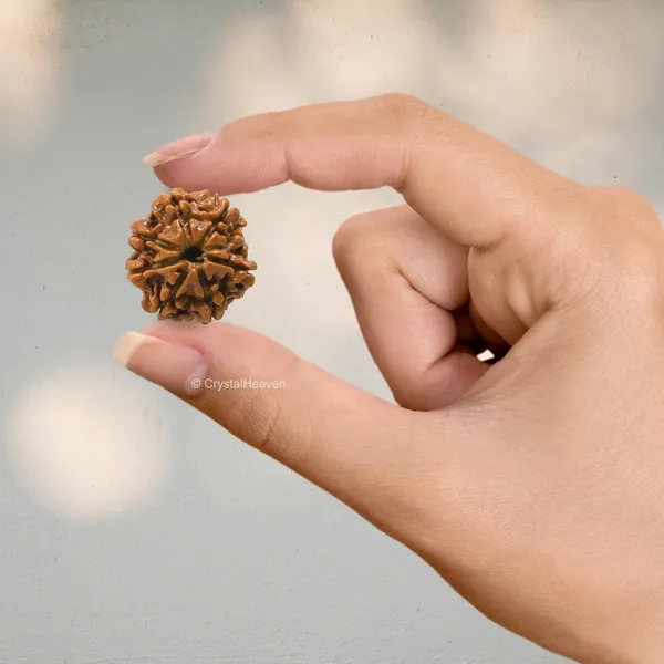 Rudraksha_Prayer_Mala_End_Of_Turn_Token