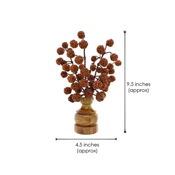 Wooden_Vase_With_Rudraksh_Tree