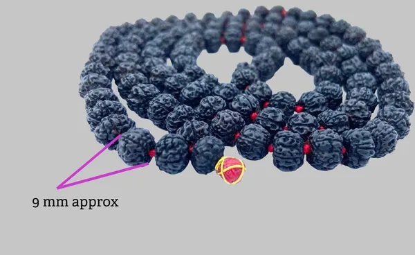 Rudraksha_Mala