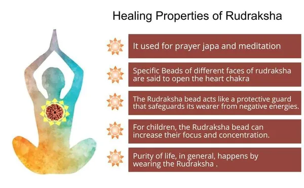 Rudraksha_Mala