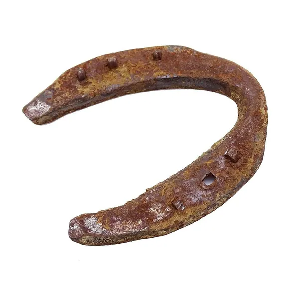 Iron_Horseshoe_Wall_Hanging