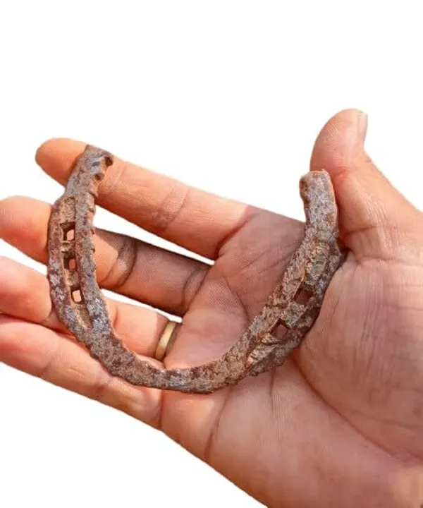 Iron_Horseshoe_Wall_Hanging