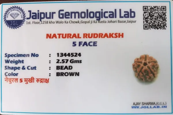Rudraksha_Bead