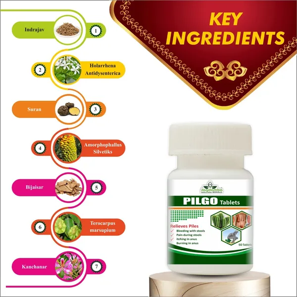 Pilgo_Tablets_Ayurvedic_Herbal_Piles_Care_Jagdamba_Herbal_60_Tablets