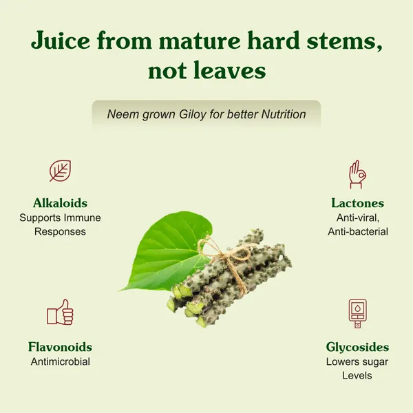 Giloy_Syrup_For_Immune_Booster_And_Fever_Relief_Jagdamba_Heral_1_Ltr