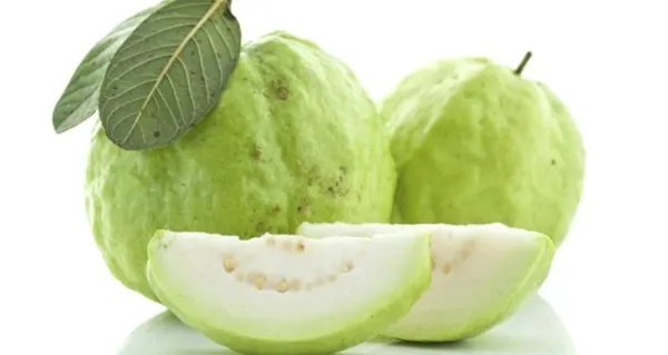 Fresh_Green_Guava