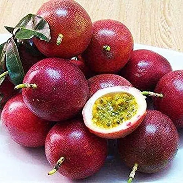 Green_Passion_Fruit_Plant