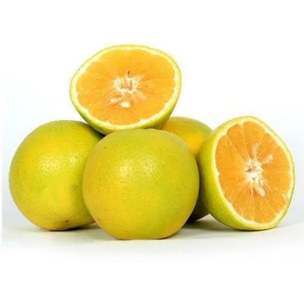 Green_Orange-Fleshed_Sweet_Lime