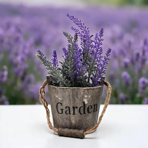 Natural_Live_Lavender_Plant_For_Gardening