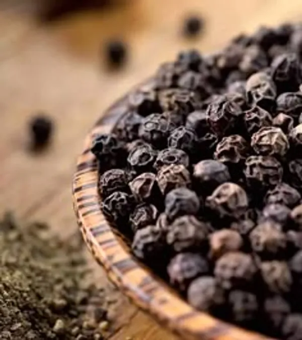 Black_Pepper_Plant