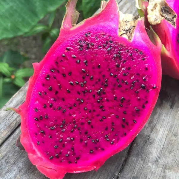 Fresh_Dragon_Fruit