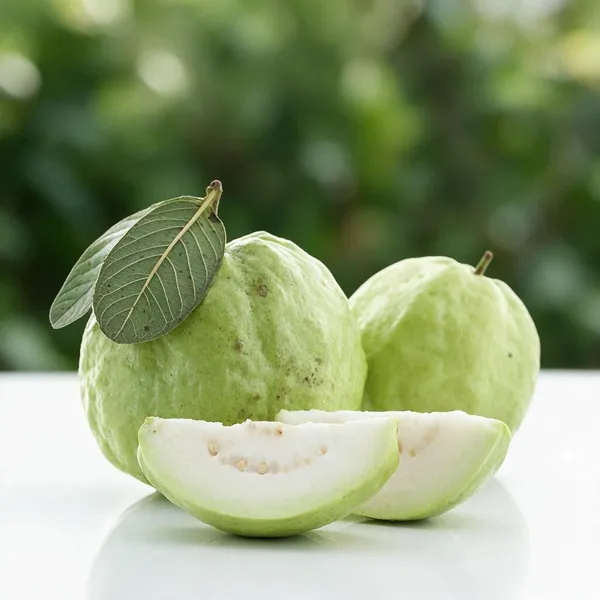 Natural_Live_Fresh_Guava_Plant_For_Gardening