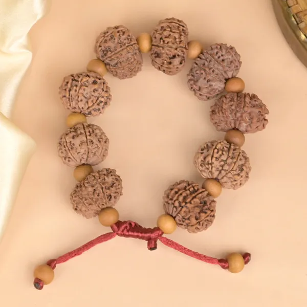 11_Mukhi_Nepali_Rudraksha_X_White_Sandal_Adjustable_Bracelet
