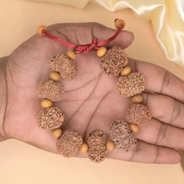 11_Mukhi_Nepali_Rudraksha_X_White_Sandal_Adjustable_Bracelet