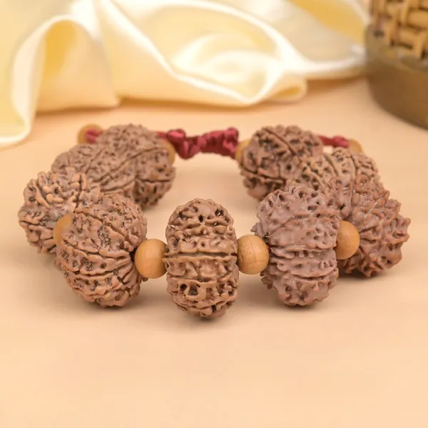 11_Mukhi_Nepali_Rudraksha_X_White_Sandal_Adjustable_Bracelet