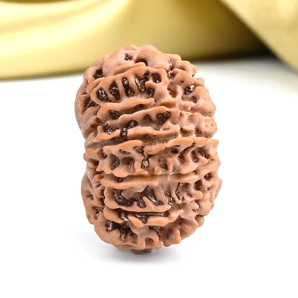 Techpandit_13_Mukhi_Rudraksha_Bead_From_Nepal