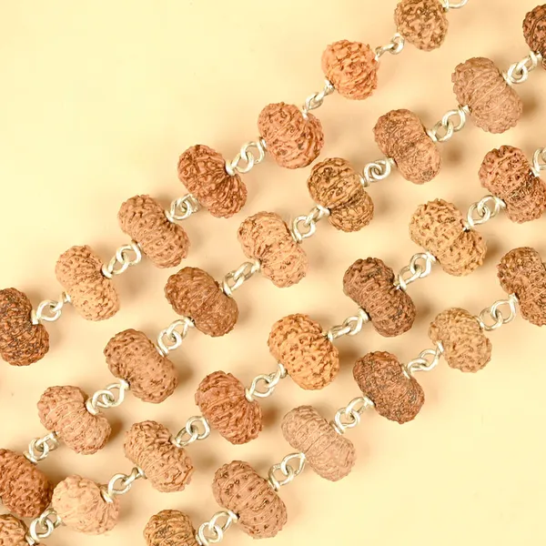 16_Mukhi_Rudraksha_925_Silver_Wire_Mala
