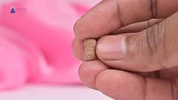 19_Mukhi_From_Java_Indonesia_Small_Clxxviii